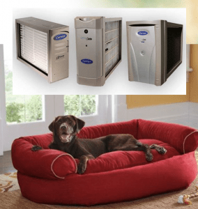 Air Cleaners/Purifiers